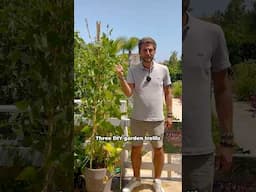 DIY Garden Trellis 🌿 for your garden or your balcony 💚 #garden #diy #gardening