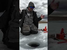 Giant Late Ice Season Trout!  #icefishing #rainbowtrout