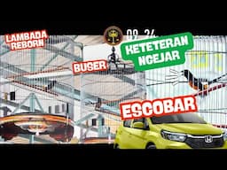Lambada Reborn, Buser KETETERAN NGEJAR ESCOBAR🔥Hadiah BRIO Grand Launching SMR #muraibatugacor