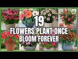 "Plant Once, Bloom Forever: Timeless Flowers for Effortless Beauty" | Plant and Planting