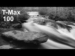 Kodak T Max 100, Another Look at This Black and White Film for 35mm Nature Photography