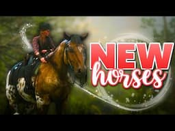 NEW, UNIQUE, AND EQUESTRIAN! | The Tackroom RedM