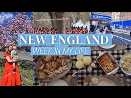 Week in My Life in New England: Boston Marathon, 250th Reenactment, Easter Celebrations