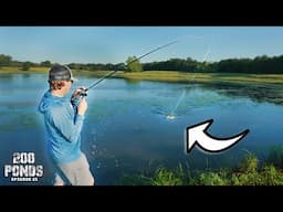 The Pond Lure I Can ALWAYS Count On! (“200 Ponds” Ep. 21)