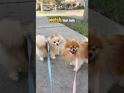 They’re Using Dog Poop to Make WHAT?! 💩😳 #funnydog