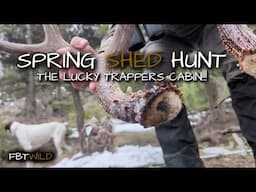 Spring SHED Hunt..Racks On The Pack & The Lucky Trapper's Cabin