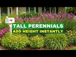 7 BEST Tall Perennials That Make Boring Borders Look Stunning!