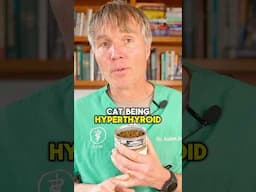 #Hyperthyroidism #CatHealth #HealthyCats #PetCare #DrJonesVet #HolisticPetCare