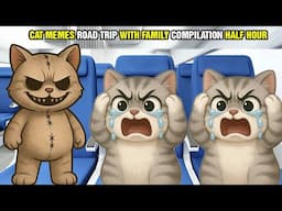 CAT MEMES ROAD TRIP WITH FAMILY COMPILATION HALF HOUR