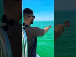 Mixed Bag Gulf-Inshore!