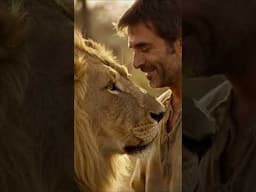Man and His Lion: A Bond Beyond Wild!