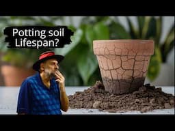 Do You Need to Replace Old Potting Soil? How do You Revive It?