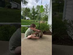 Babies And Farm Animals. #cats #farmlife #baby #animals