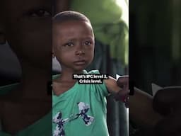 An alarming 28 million people in DRC are now facing acute hunger (IPC Phase 3 and above)