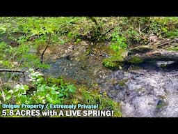 Fresh-water Spring on Owner Financed 5.8 acres - $1,500 Down -  MO Ozarks! InstantAcres.com - #CG18