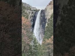 A quick & beautiful hike to Bridalveil Fall in Yosemite! #Hiking #Travel #Yosemite #BridalveilFall