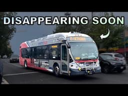 Is this DC’s Weirdest Bus Route?