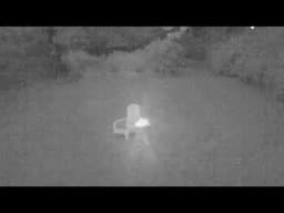 Poor Man's Night Vision