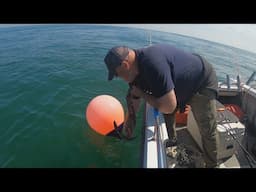 Sea Fishing for a Big One: Small Boat Fishing in the UK
