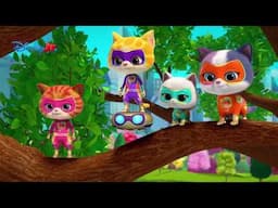 🦴 Osul de aur | Super Pisicuțe | Disney Junior România