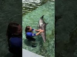 Dolphin Awareness Month - Rudy Spotlight