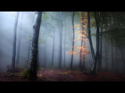 Perfect Photos in ANY Light Situation