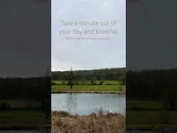 Take a minute to just breathe #relax #nature