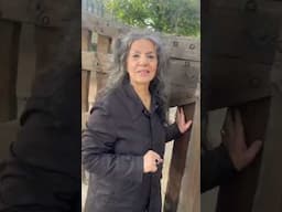 NEW: Say "Hi" to Mery (Grandma of Angelina Jordan) #angelinajordan #reaction #new #viral #fyp #love