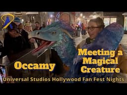Meeting a Sleepy Occamy at Universal Fan Fest Nights