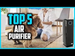 ✅Top 5 Best Air Purifier For Pets in 2025