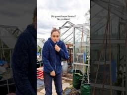 Greenhouse no heater insulation hack