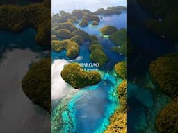 8 seconds of pure Philippino bliss 😍 #siargao