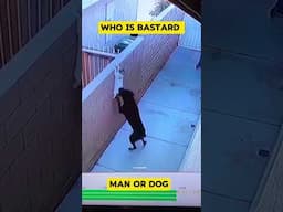 WHERE IS HUMANITY #love #viralvideo #funny #animallife #cat