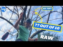 10 throws into this tree, how many will a “Pro” arborist get?? 😂