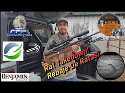 Rat Takedown! Rebaje De Ratas! || Con Rifle PCP Benjamin Akela