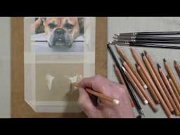How to Draw a Realistic Dog’s Muzzle with Pastel Pencils | Step-by-Step Tutorial 🎨🐶