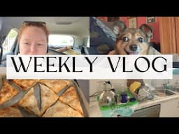 Weekly Vlog / Busy Busy / Frugal Fun Mum