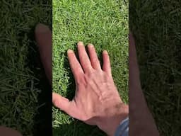 2025 lawn season loading…