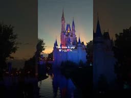 This view & yap🏰 #disney #magickingdom #disneyvlog #disneyworld #wdw #waltdisneyworld