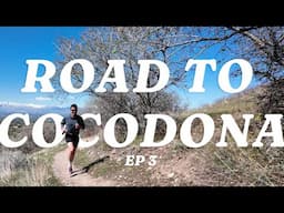 "Peak Week" for the Cocodona 250: Salt Lake Summits, Shoreline Tempo & Heat Training