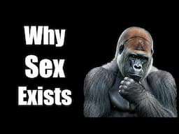 Sex vs Cloning: Which is Better?