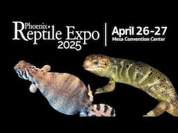Phoenix Reptile Expo, April 26, 2025.