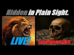 LIVE! US ECONOMIC DEATH... (DOGE A COMPLETE FAILURE). A FULL BREAKDOWN. Mannarino
