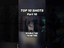 Top 10 Shots with the EDgun Leshiy (Part 10)