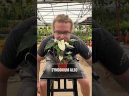 Moving Closer - How much Andre likes each plant!