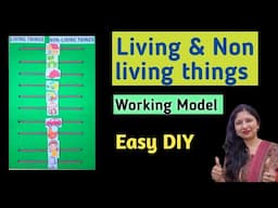 Living and non living things TLM /working school project for exhibition/Kansal Creation