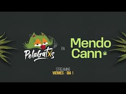 MendoCann - Día 1 - Espacio Arizu - Godoy Cruz - Mendoza