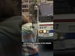 "There is a cost to our existence" #Shorts #History #Documentary #Disability