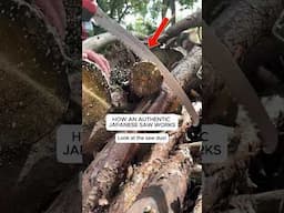 Saw blade secrets!