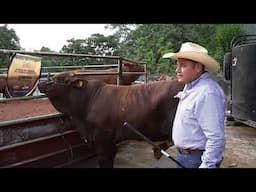Temantipa Beefmaster, Xilitla Huasteca Potosina Episodio 2